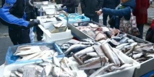 Преди Никулден: Тръгват проверки на рибните борси и магазини за риба