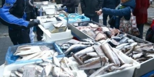 Преди Никулден: Тръгват проверки на рибните борси и магазини за риба