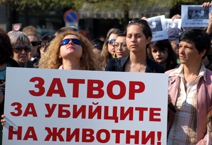 Протести против насилието над животните в София и Варна