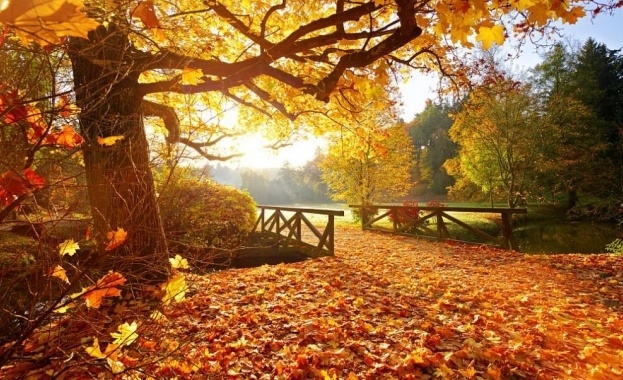 Слънчева неделя