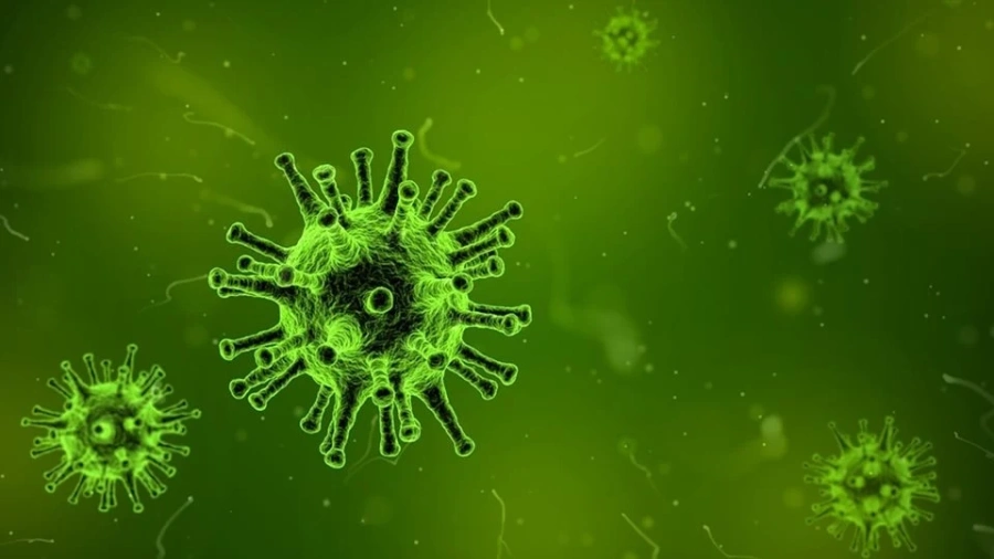 Кога ще е пикът на грипа и какви вируси ни атакуват в момента