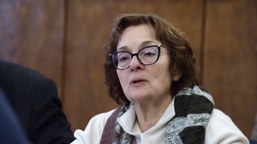 Румяна Коларова: Идеята, че протестите могат да предизвикат смяна на правителство не върви