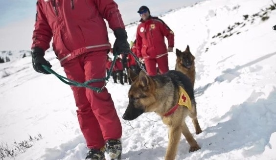 Планинската спасителна служба на БЧК е в готовност за зимата