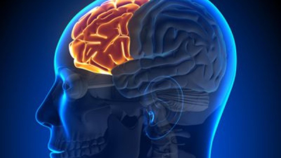 Япония е изправена пред криза, свързана с деменция