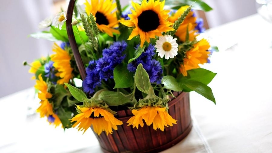 Кой има имен ден днес, 10 декември 2025 г. Честито!