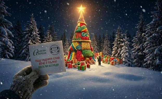 В навечерието на Коледа благотворителната инициатива Чудната елха събра близо 10 000 лв
