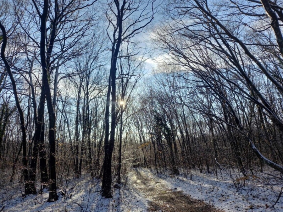Времето днес: Максималните температури ще са предимно между 7° и 12°