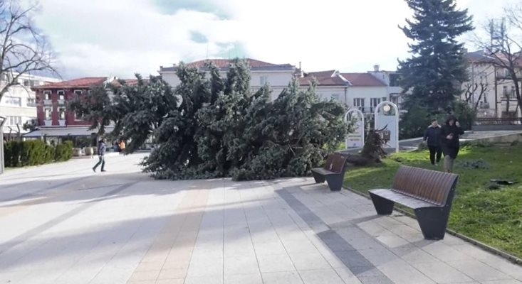 Големи щети нанесе ураганният вятър, който още вилнее във Враца