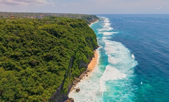 Японци измислиха как да правят чиста пластмаса от мръсни бактерии