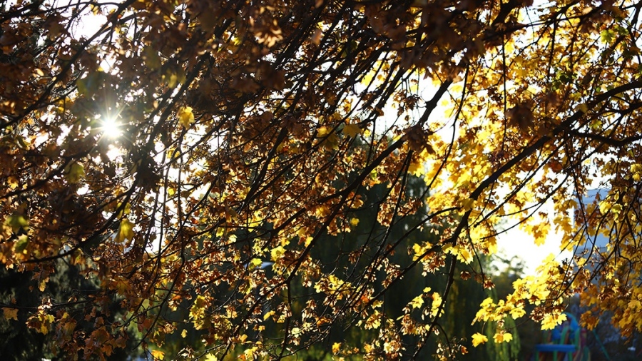 Времето днес: Дневните температури ще достигнат до 17-18 градуса