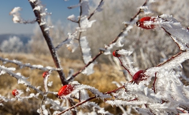 Мразовито утро и във вторник