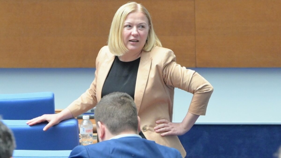 Надежда Йорданова: Властта отдавна е постигнала консенсус за сканиращите машини