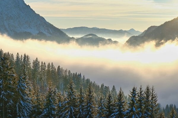 Мъгливо време ни очаква сутринта на 28 януари, следобед ще е облачно