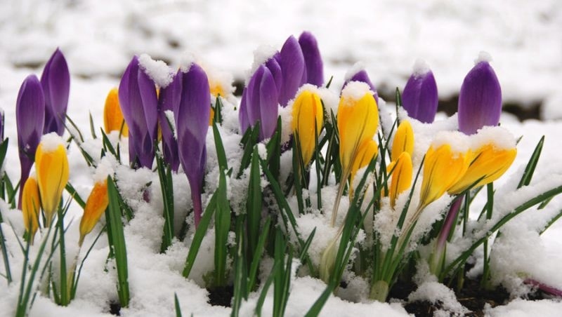 Времето през февруари: Чести валежи и температури от –12° до 23°
