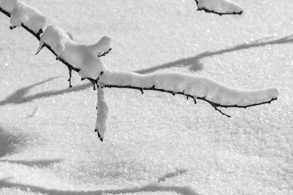 Продължава да вали обилно сняг и на 2 февруари, ще е студено