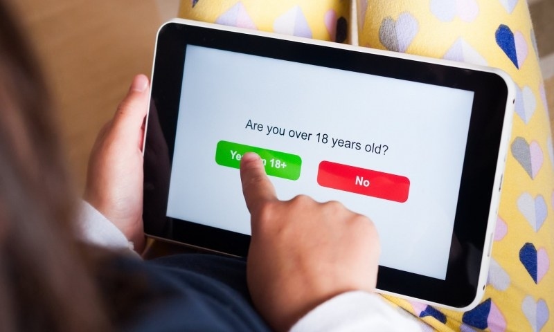 АФП: В България текат разследвания, свързани с порно сайтове