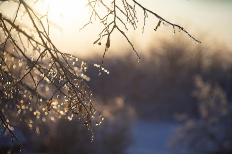 Повече слънце днес, температурите – до 12°