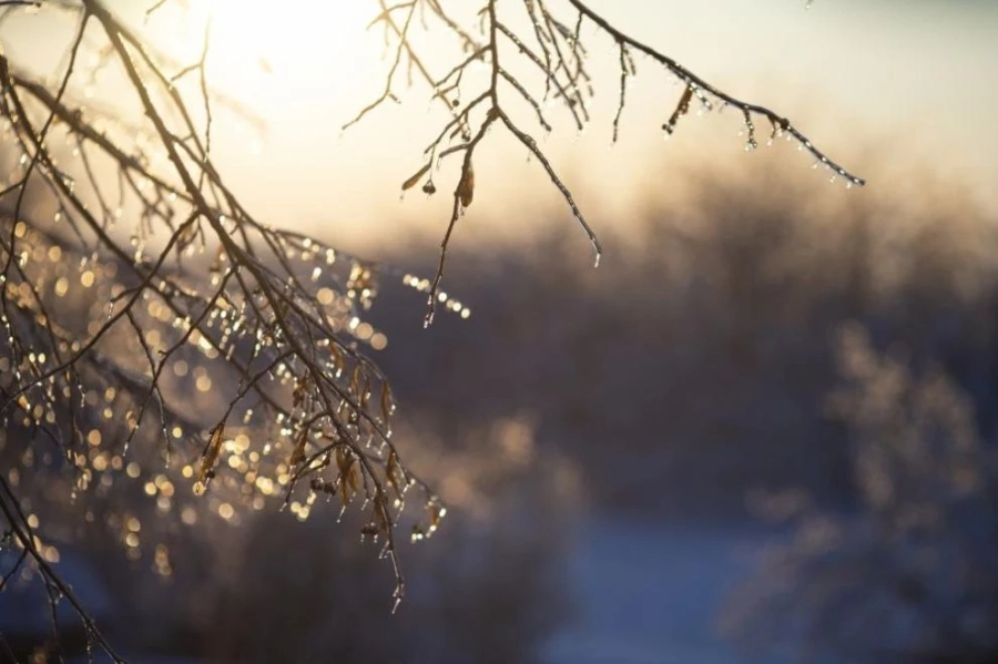 Повече слънце днес, температурите – до 12°