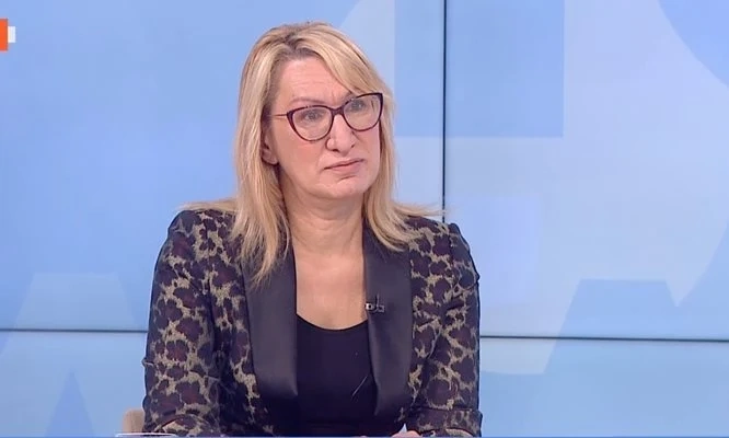 Цветелина Пенева: Ще сме свидетели на добре организиран изборен туризъм от Турция в деня на вота