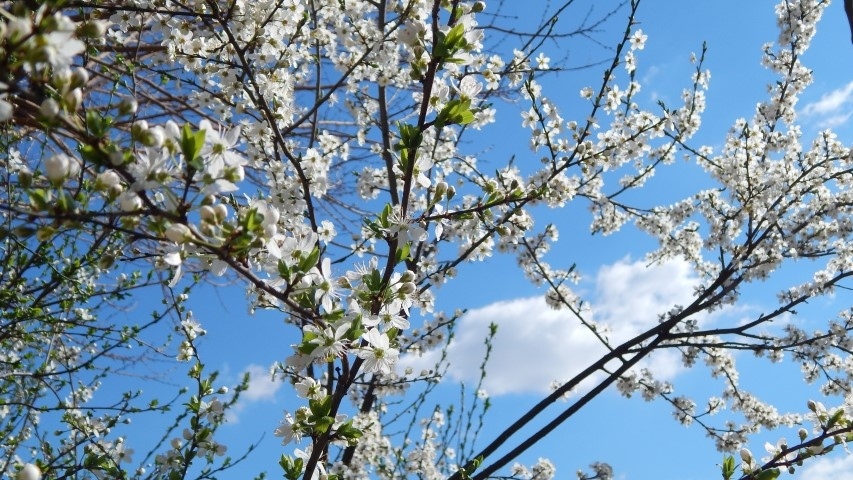 Времето днес: Дневните температури ще останат между 13° и 18°