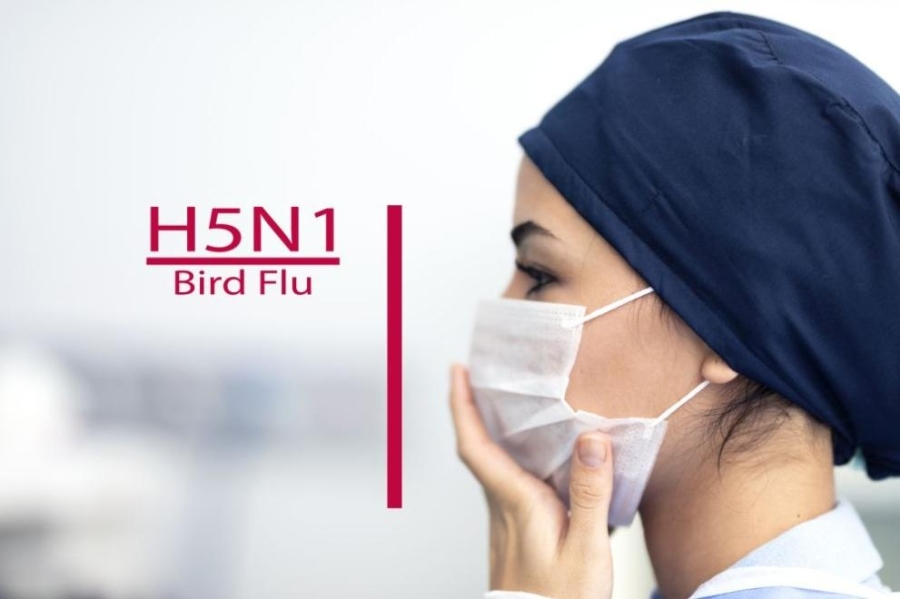 Първи случай на птичи грип при човек в Италия