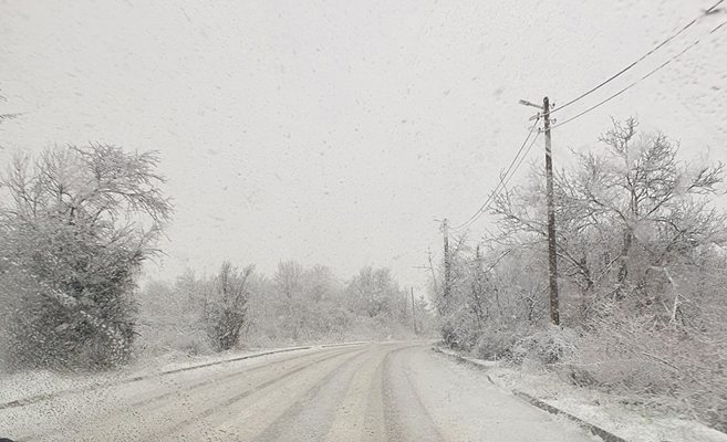 Перник и Радомир побеляха след мартенски сняг