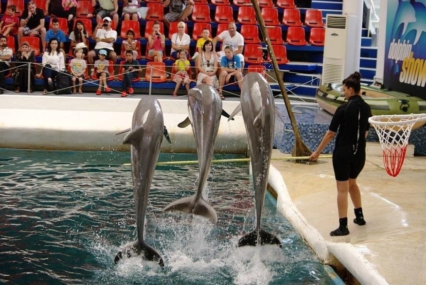 Делфинариум Варна пуска безплатни представления за деца за Великден