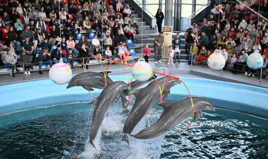 Делфинариум Варна прави безплатни представления за децата за Великден