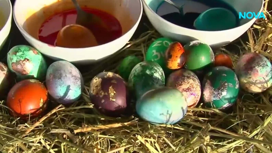 Боядисаха великденски яйца от над 40 вида птици