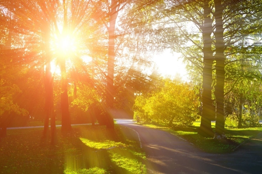 Слънчево ще е днес, ще превали в крайните югозападни райони