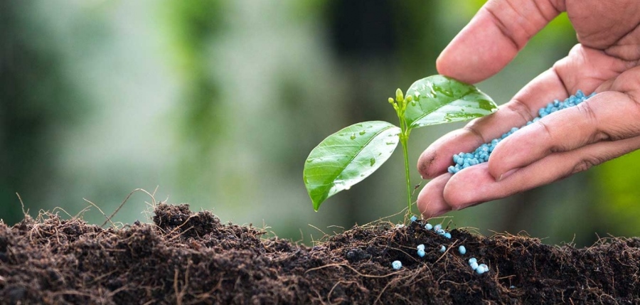 Цените на торовете скочиха с до 50% за година, предупреждават фермери