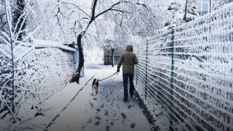 Къде ще вали пролетен сняг в следващите дни