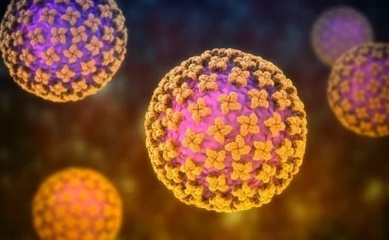 Испанец с положителен тест за хантавирус