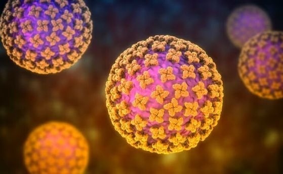 Испанец с положителен тест за хантавирус