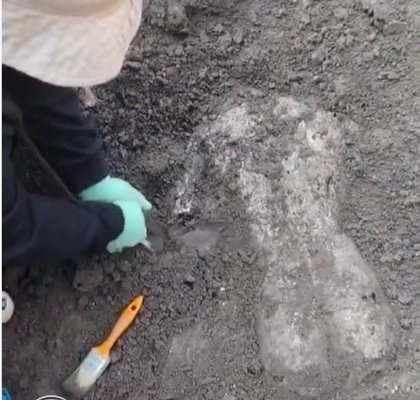 Свързват мраморния торс, открит в Хераклея Синтика с изображения на Аполон или Дионис