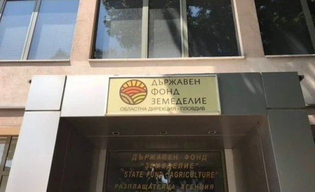 ДФЗ: Подпомагане от 12 милиона евро получиха младите стопани за Кампания 2025