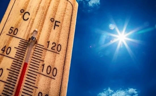 Екстремните температури в Испания причиниха смъртта на 900 души