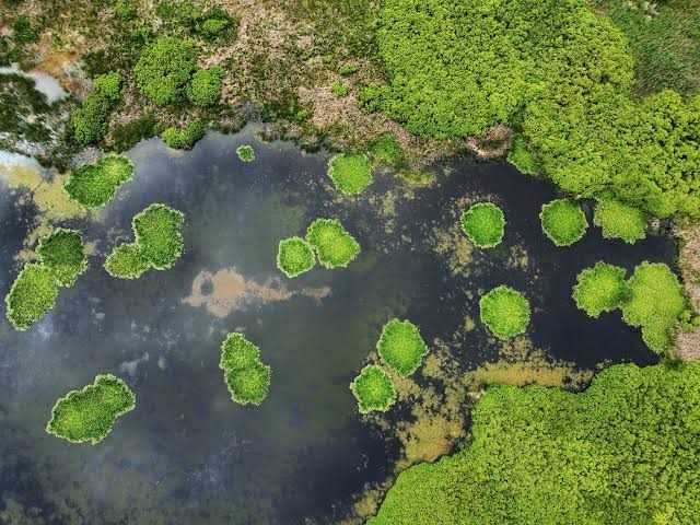 Европа преосмисля градското планиране: Дъждовната вода е ценен ресурс
